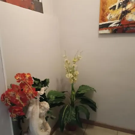Ded Apartment Ponte Taro